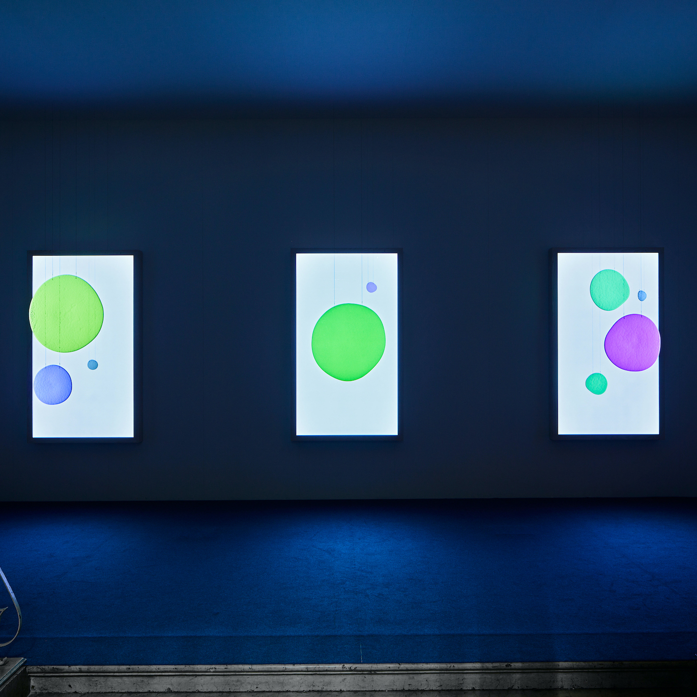 WONDER - WonderGlass